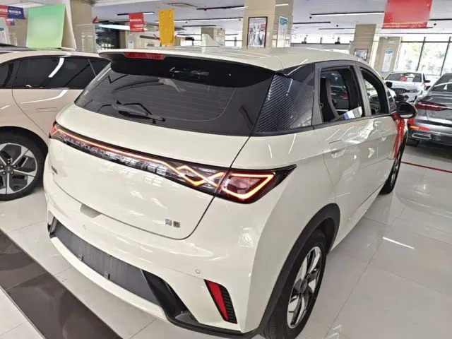 BYD Dolphin 2025 420km Freedom Edition — Фото автомобиля 6