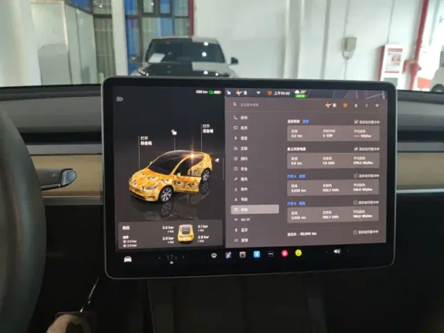 Tesla Model Y — Фото автомобиля 12