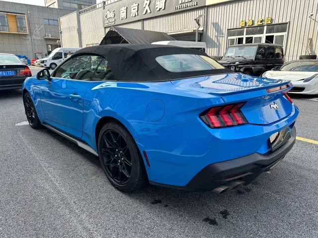 Ford Mustang — Фото автомобиля 5