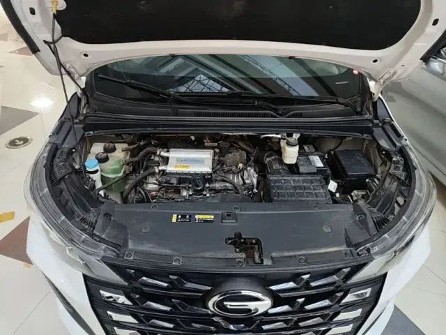 GAC Trumpchi M6 — Фото автомобиля 19