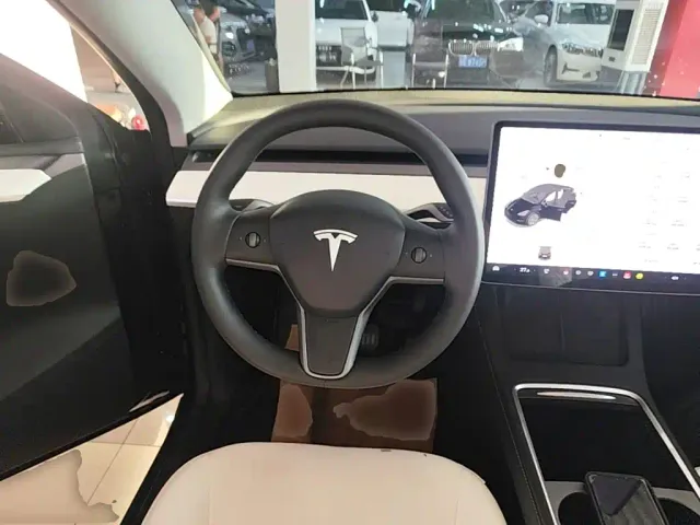 Tesla Model Y — Фото автомобиля 10