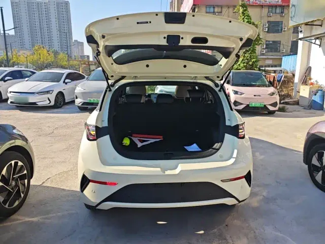 BYD Dolphin — Фото автомобиля 18