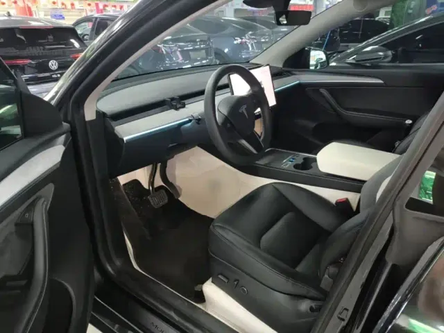 Tesla Model Y — Фото автомобиля 15