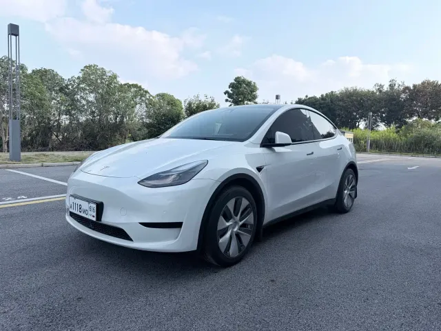 Tesla Model Y — Фото автомобиля 2
