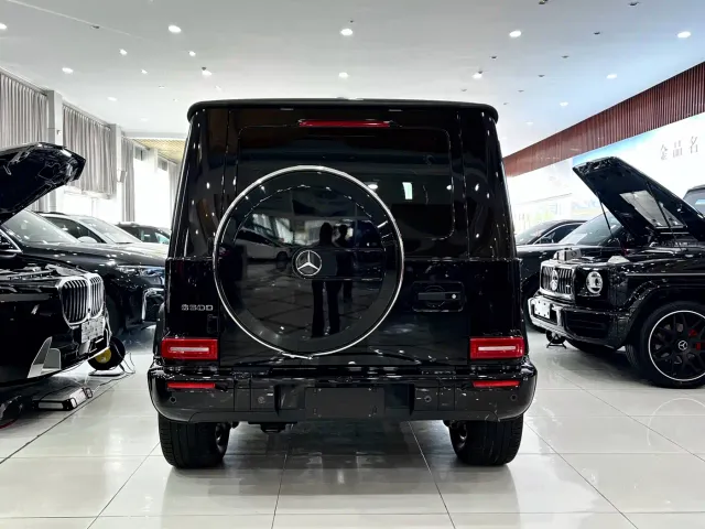 Mercedes-Benz G-Class — Фото автомобиля 5