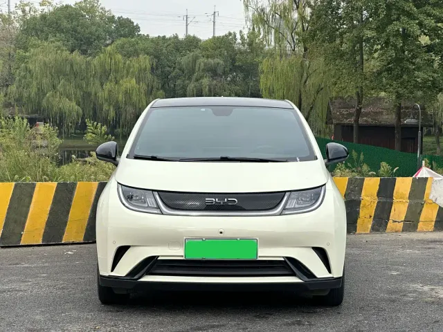 BYD Dolphin — Фото автомобиля 2