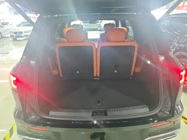Geely Galaxy M9 — Фото автомобиля 18