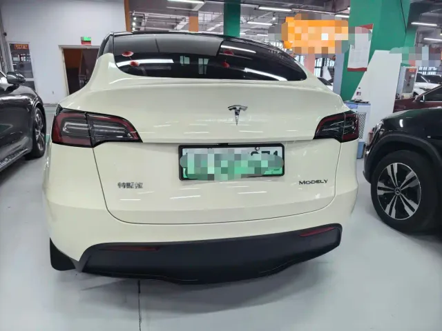 Tesla Model Y — Фото автомобиля 10
