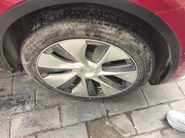 Tesla Model Y — Фото автомобиля 6