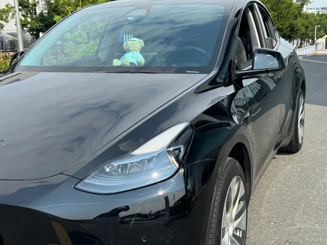 Tesla Model Y — Фото автомобиля 15