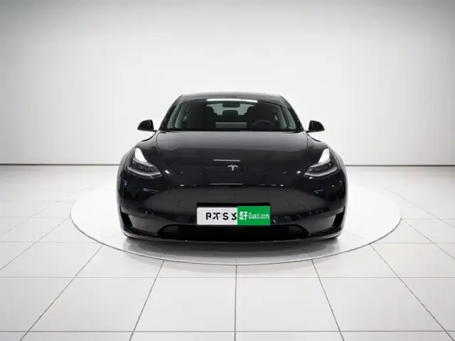 Tesla Model Y — Фото автомобиля 2