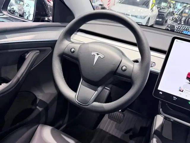 Tesla Model Y — Фото автомобиля 15