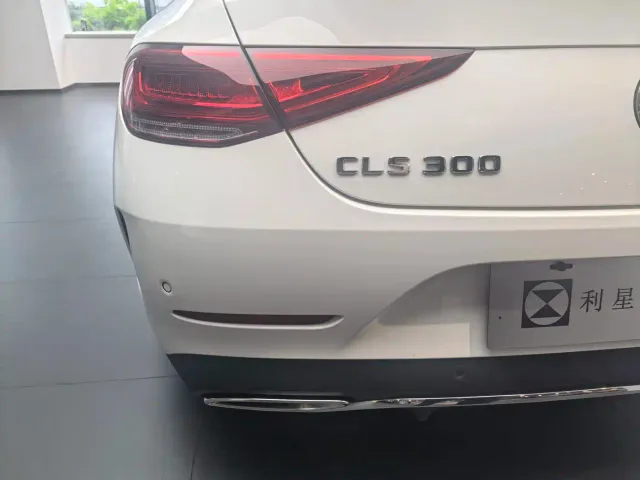 Mercedes-Benz CLS-Class — Фото автомобиля 9