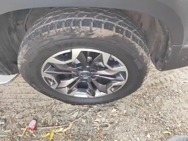 Haval Big Dog — Фото автомобиля 6