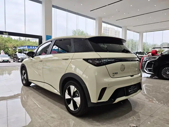 BYD Dolphin — Фото автомобиля 7