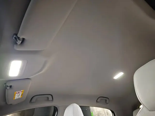 Geely Starry Wish — Фото автомобиля 18