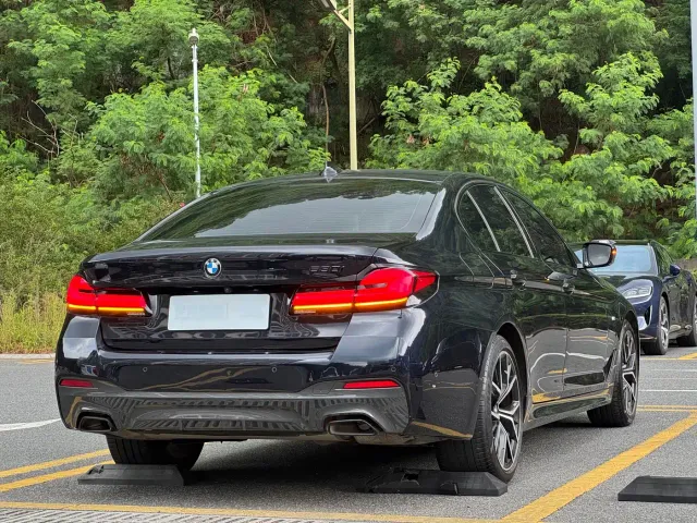 BMW 5 Series — Фото автомобиля 19