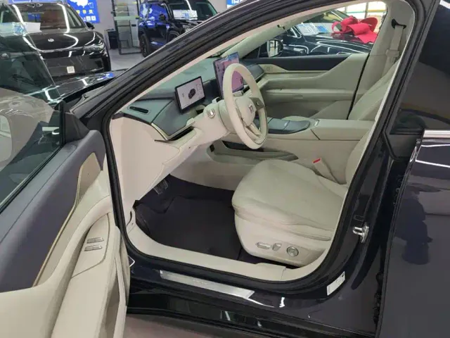 Buick Electra L7 — Фото автомобиля 9