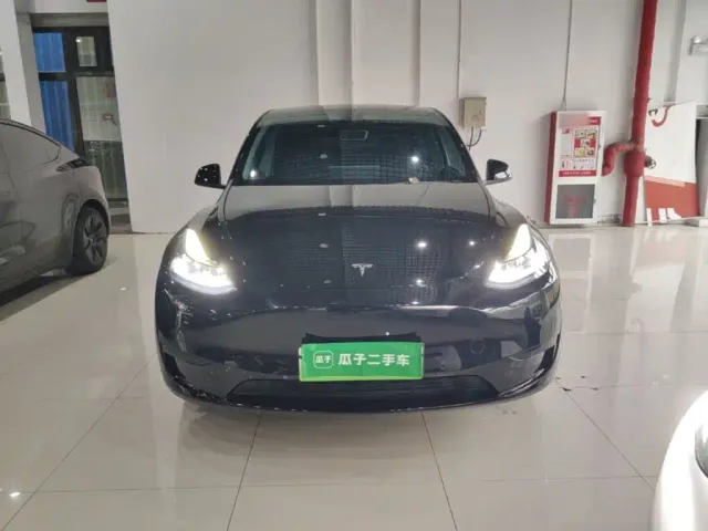 Tesla Model Y — Фото автомобиля 2