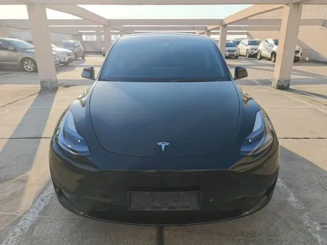 Tesla Model Y — Фото автомобиля 2