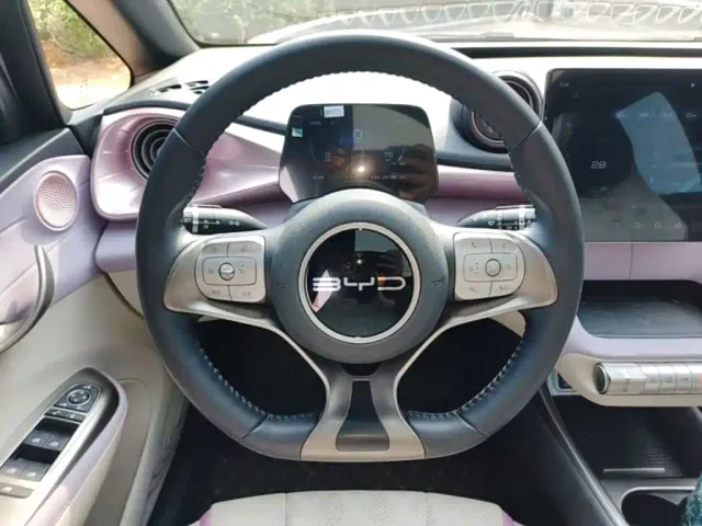 BYD Dolphin — Фото автомобиля 10
