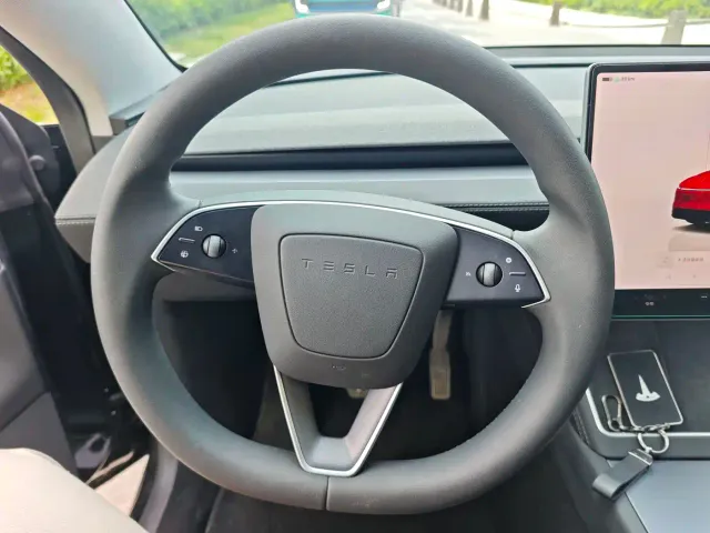 Tesla Model Y — Фото автомобиля 11