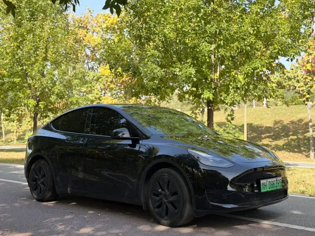 Tesla Model Y — Фото автомобиля 3