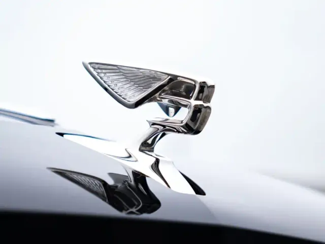 Bentley Flying Spur — Фото автомобиля 18