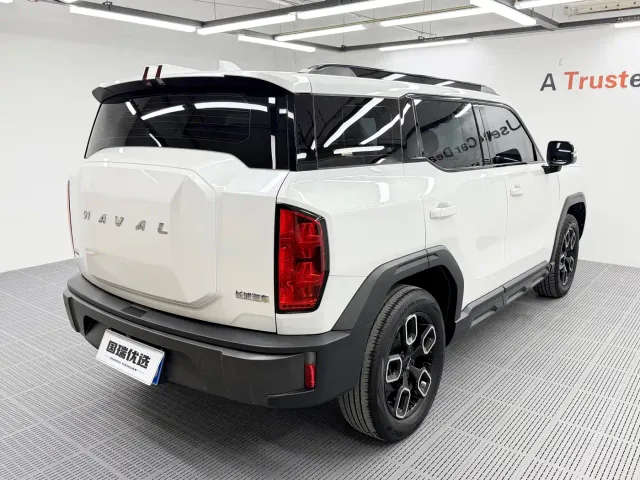 Haval Cool Dog — Фото автомобиля 5