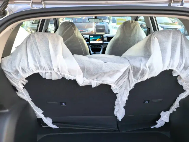 Geely Starry Wish — Фото автомобиля 12