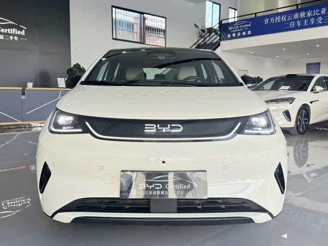 BYD Dolphin — Фото автомобиля 2