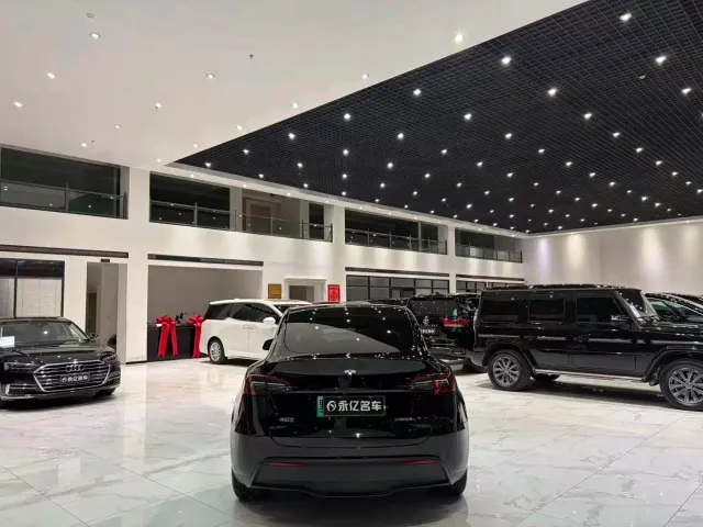 Tesla Model Y — Фото автомобиля 18