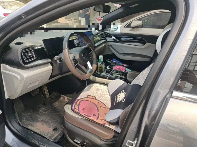 BYD Qin PLUS — Фото автомобиля 16