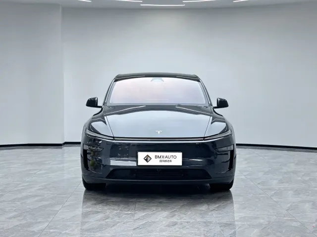 Tesla Model Y — Фото автомобиля 4