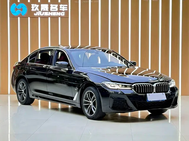 BMW 5 Series — Фото автомобиля 2