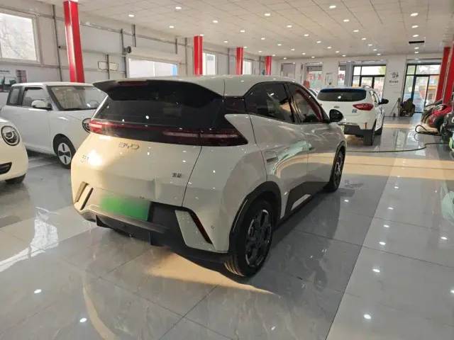 BYD Seagull — Фото автомобиля 6