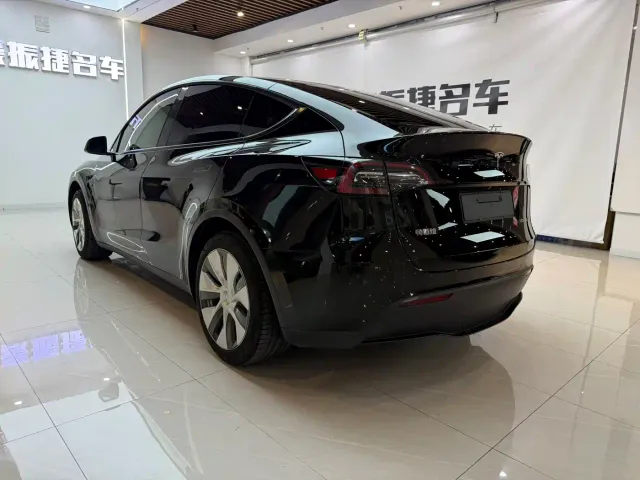 Tesla Model Y — Фото автомобиля 10