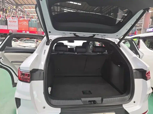 BYD Song PLUS — Фото автомобиля 18