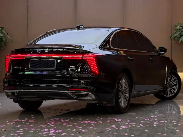 Hongqi H5 — Фото автомобиля 16