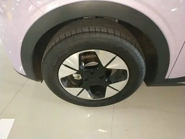 Geely Starry Wish — Фото автомобиля 22