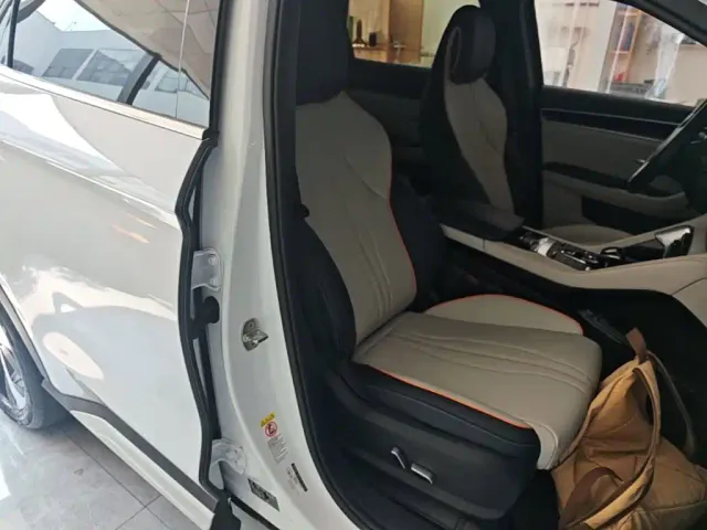 BYD Song PLUS — Фото автомобиля 24