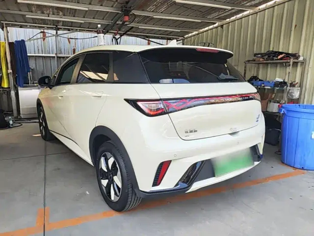 BYD Dolphin — Фото автомобиля 4