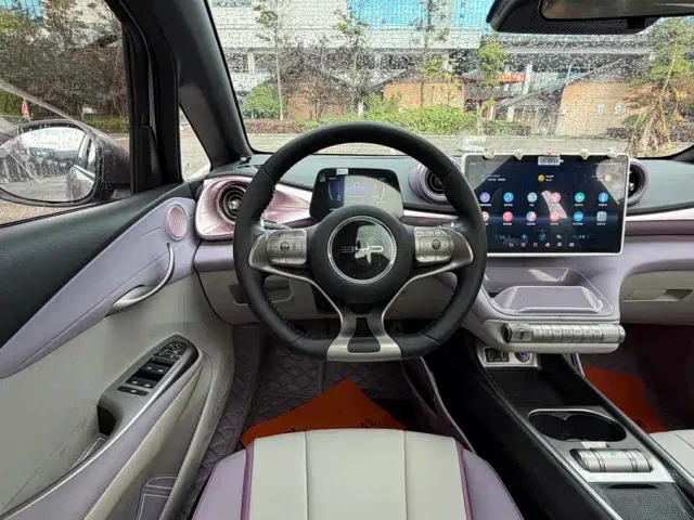 BYD Dolphin 2021 401km Knight Edition — Фото автомобиля 13
