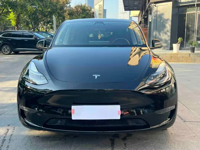 Tesla Model Y — Фото автомобиля 2
