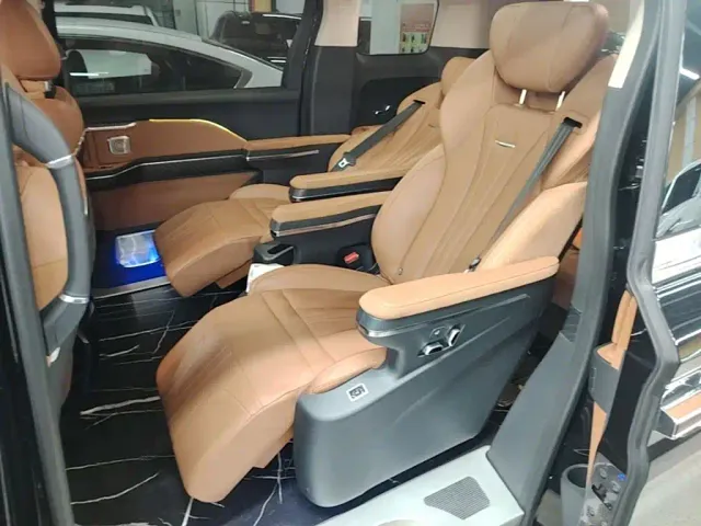 Hongqi Hongqi HQ9 PHEV 2024 Model 2.0T AWD Business Edition — Фото автомобиля 12
