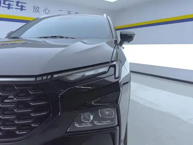 Ford Lingrui — Фото автомобиля 5