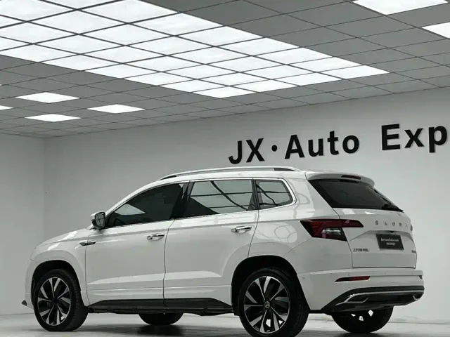Skoda Karoq — Фото автомобиля 6