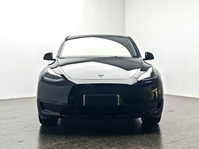 Tesla Model Y — Фото автомобиля 2
