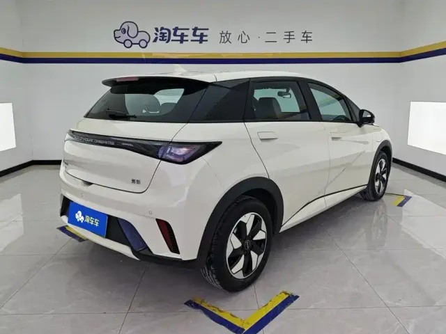 BYD Dolphin — Фото автомобиля 3