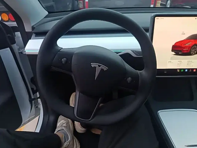Tesla Model Y — Фото автомобиля 10